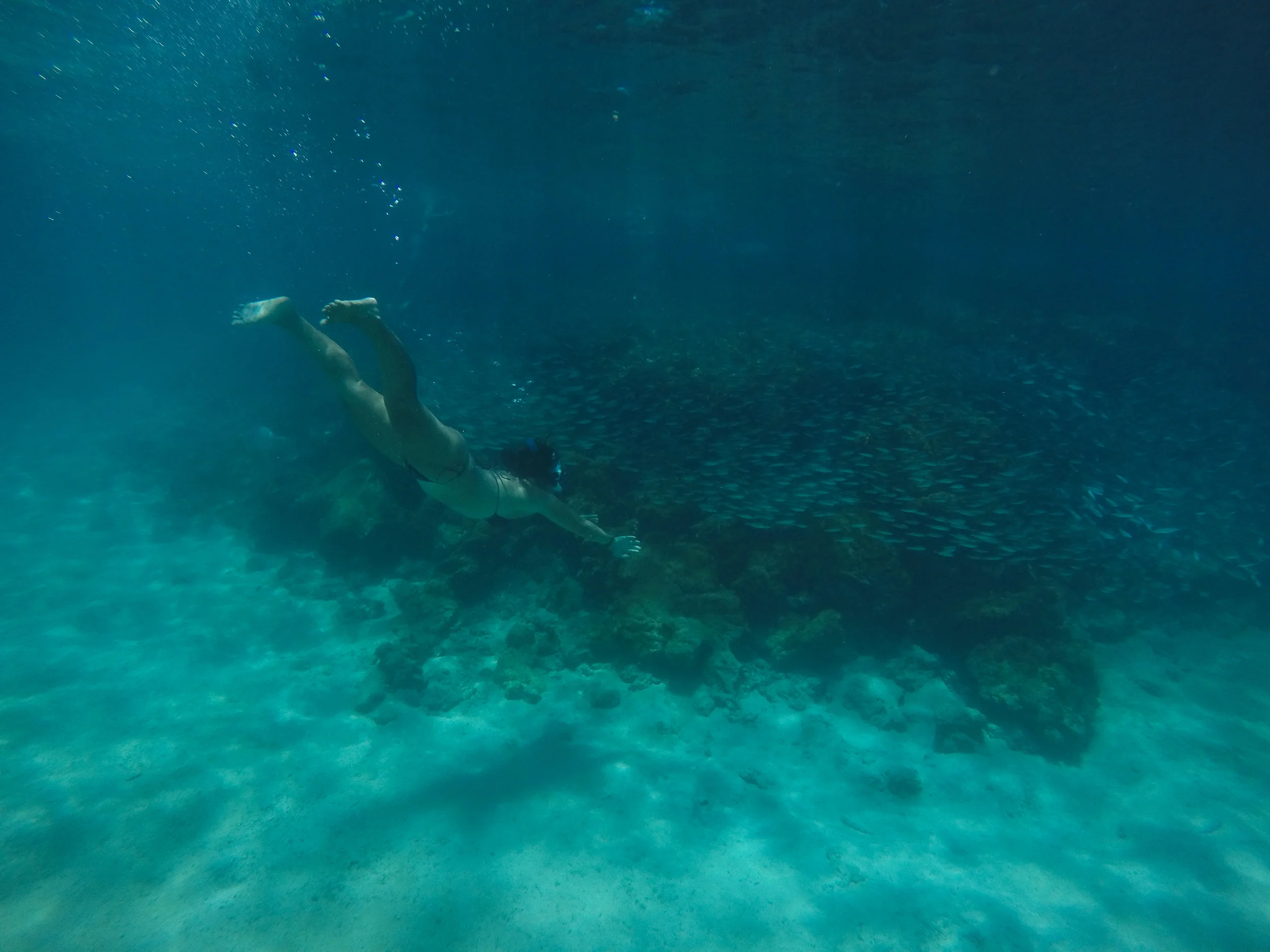 Galápagos-1134775.jpg