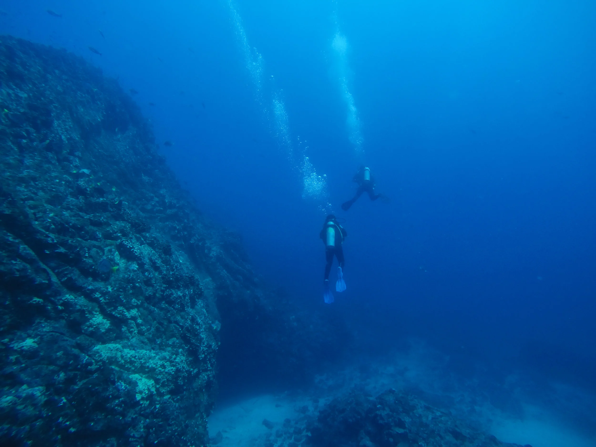 Galápagos-1515452.jpg