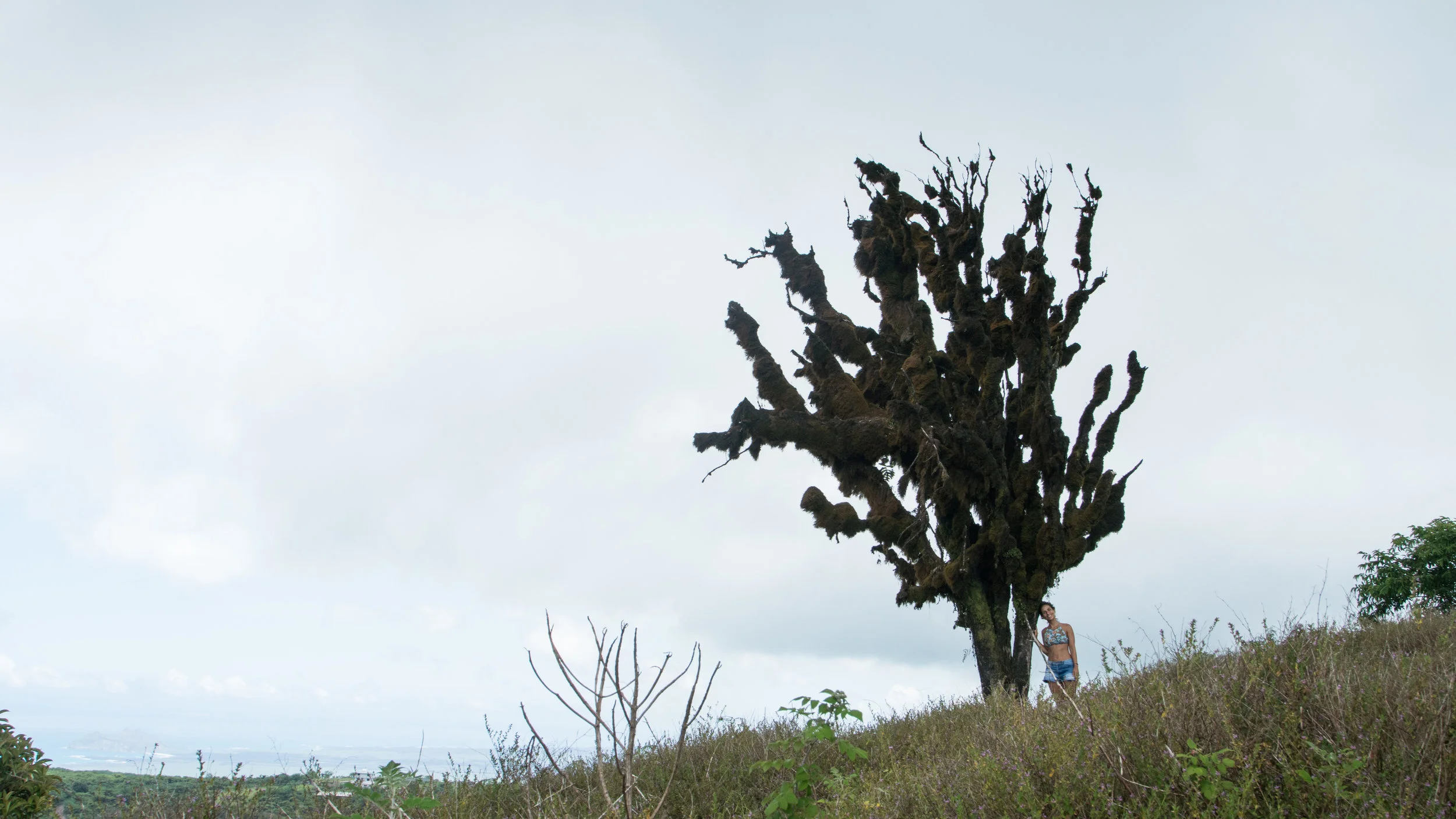 Galápagos-02891.jpg