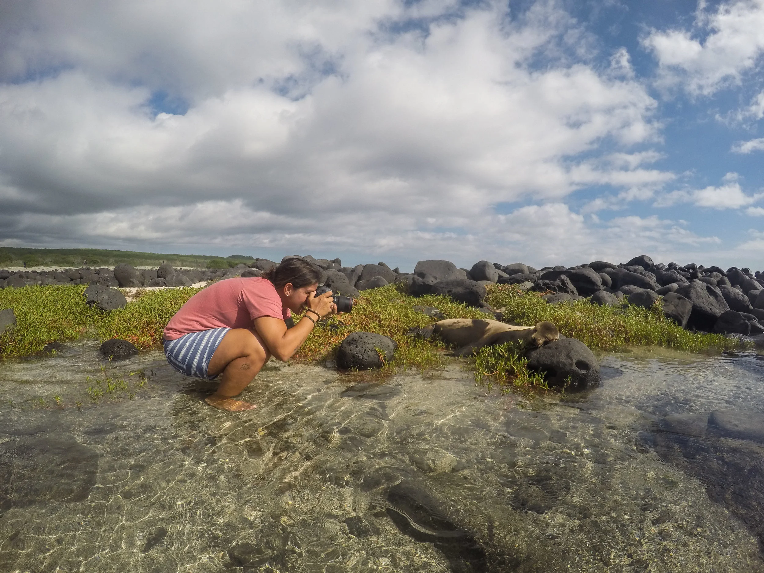 Galápagos-3501.jpg