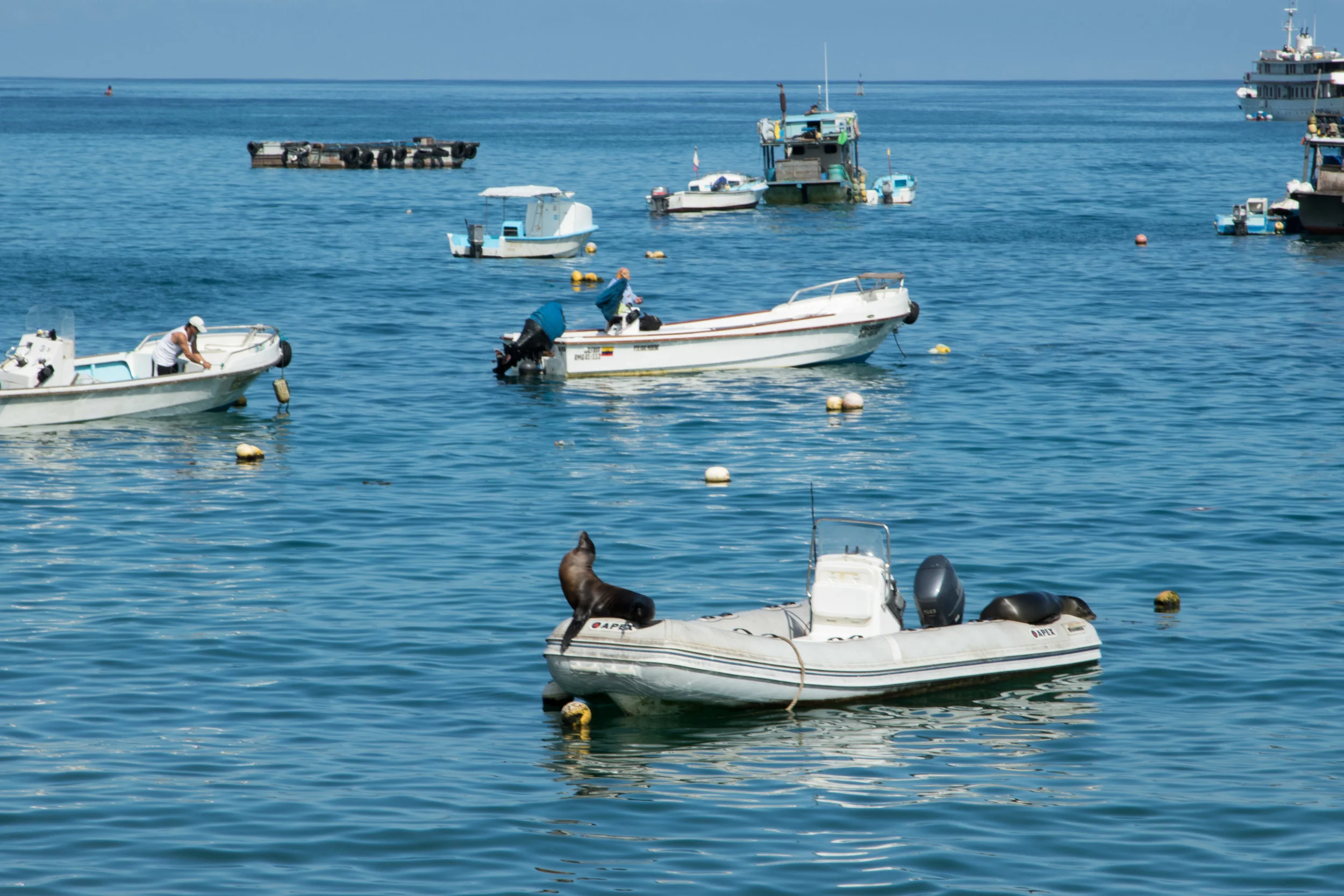 Galápagos-7997.jpg