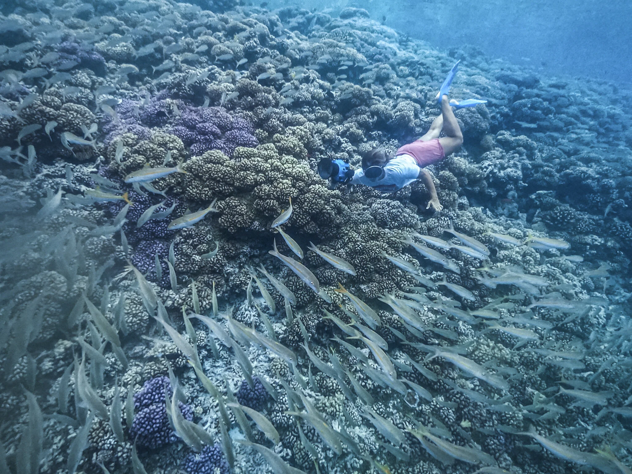 GPTempDownload 9.JPG