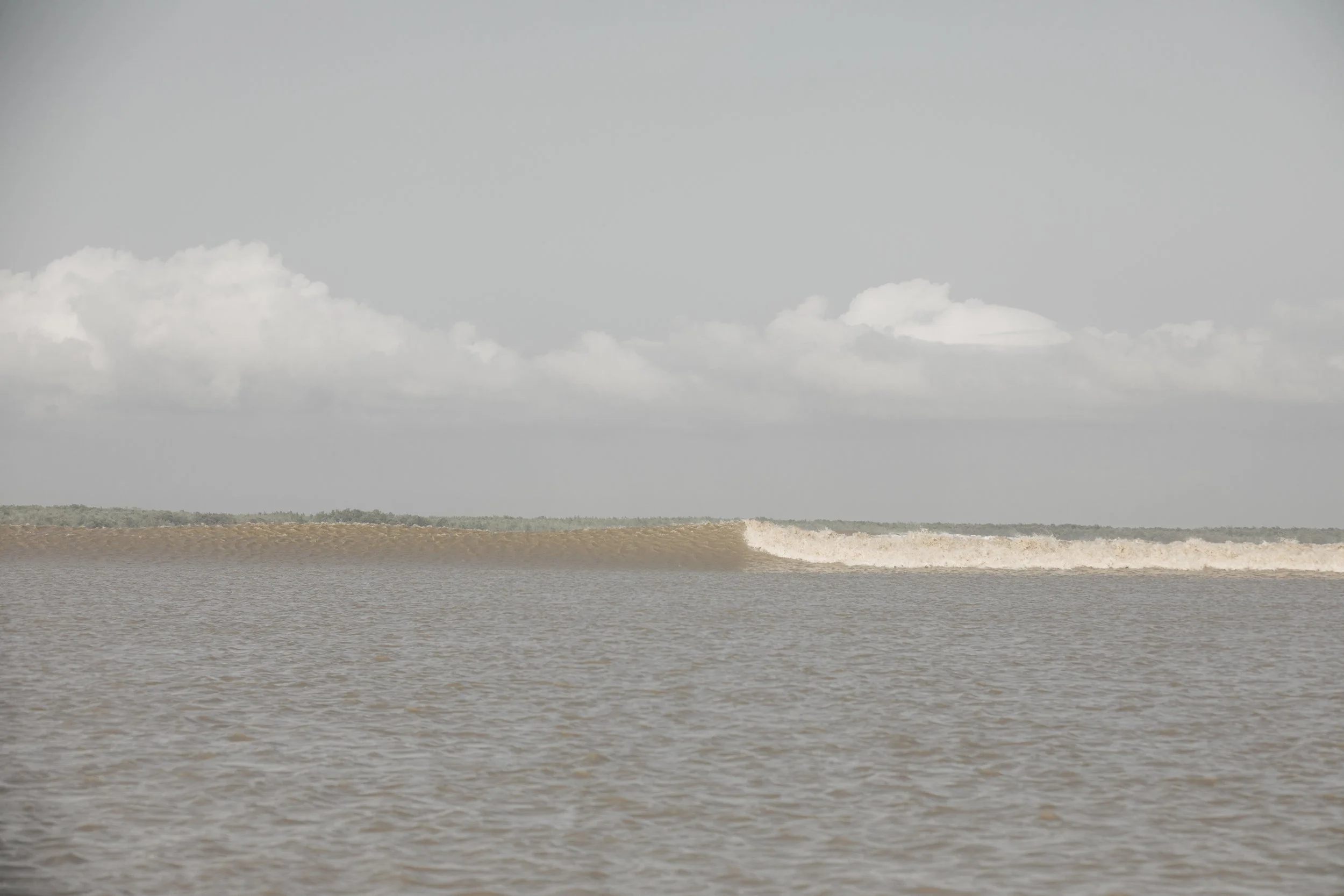 2020-10-18 - Pororoca-8308.jpg