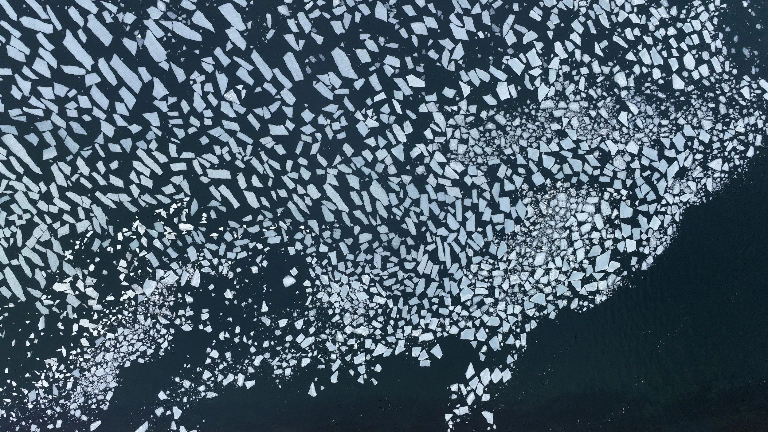 dji_fly_20230409_163114_83_1681058135116_photo.JPG