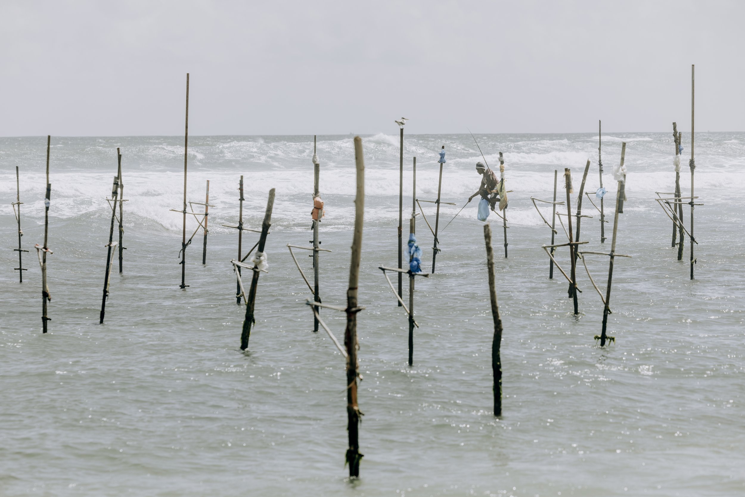 Stilt Fisherman