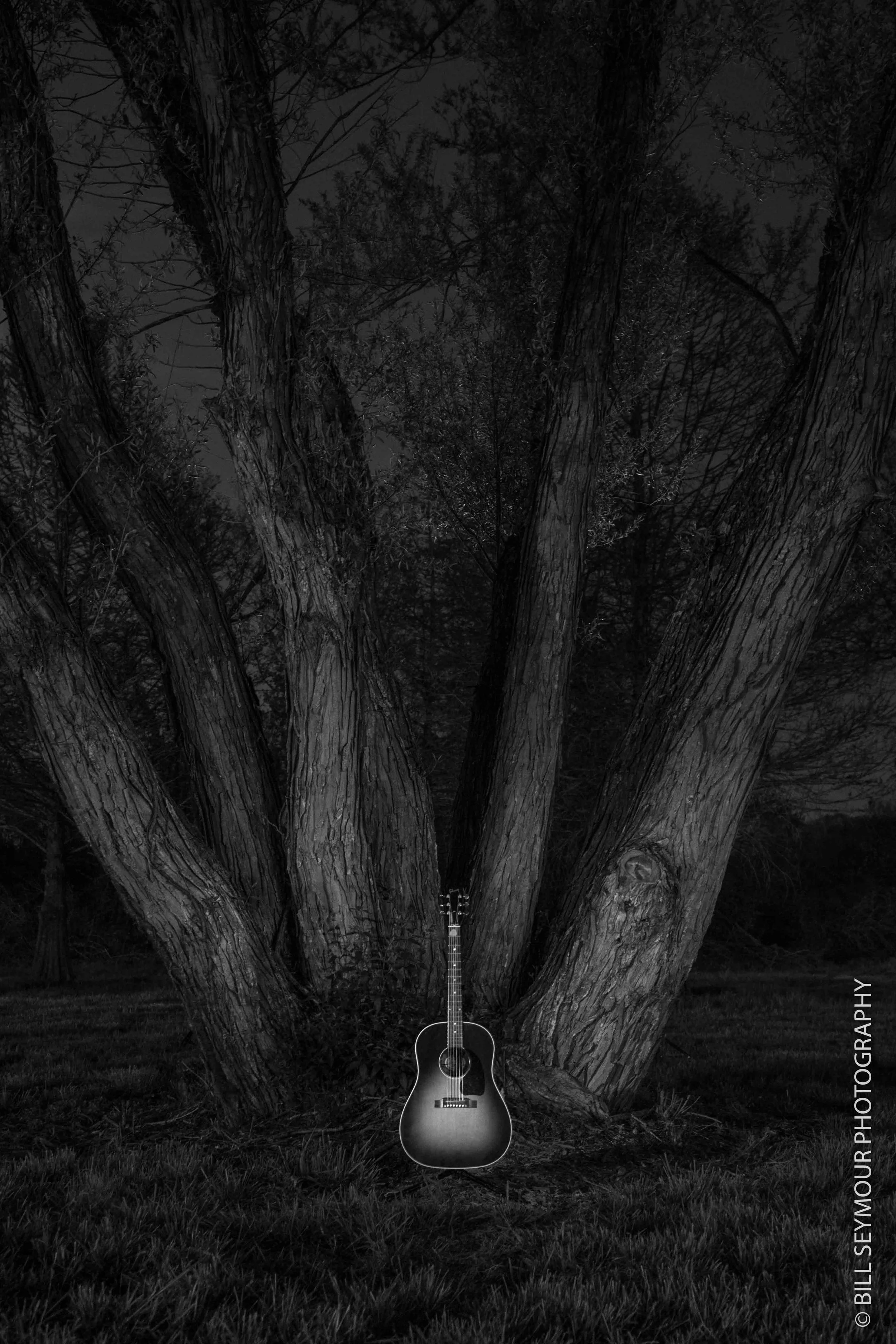 Guitar Tree-85-EditLR-2.jpg