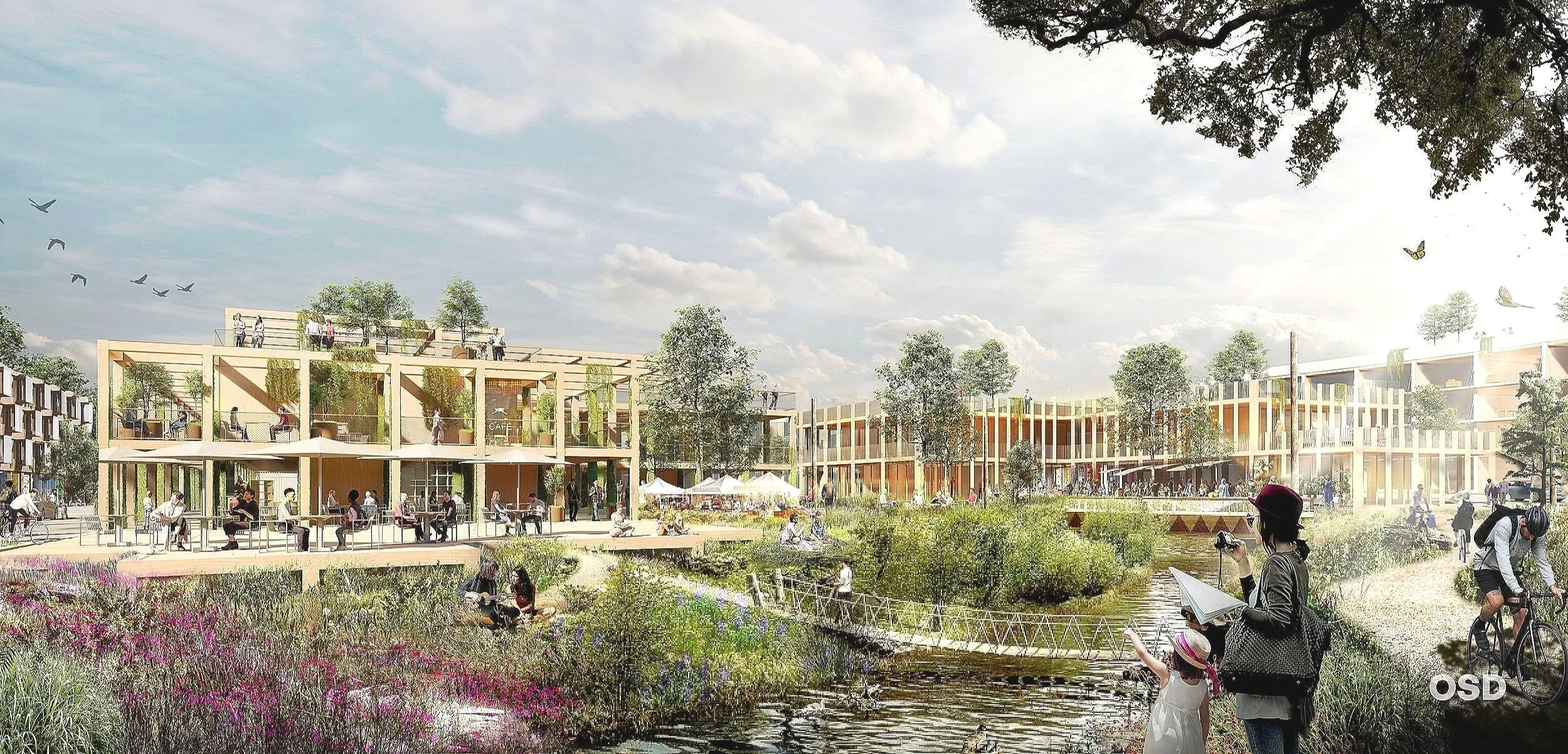 Cato Springs Downtown, Fayetteville, AR