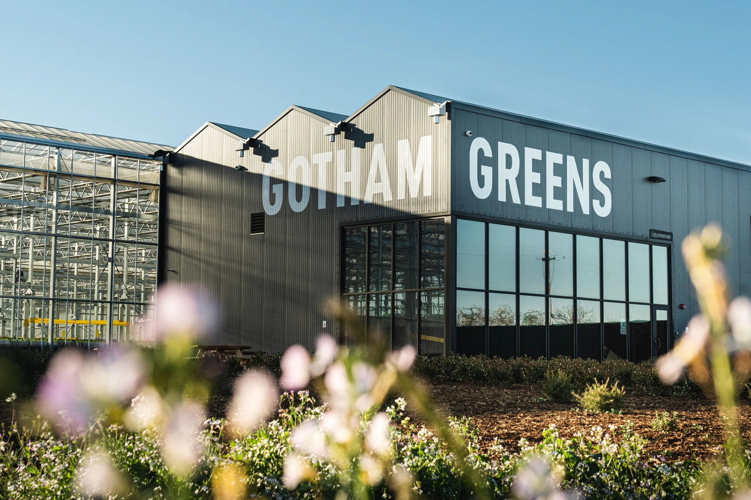 Gotham Greens Growhouses, Chicago, Baltimore, Providence