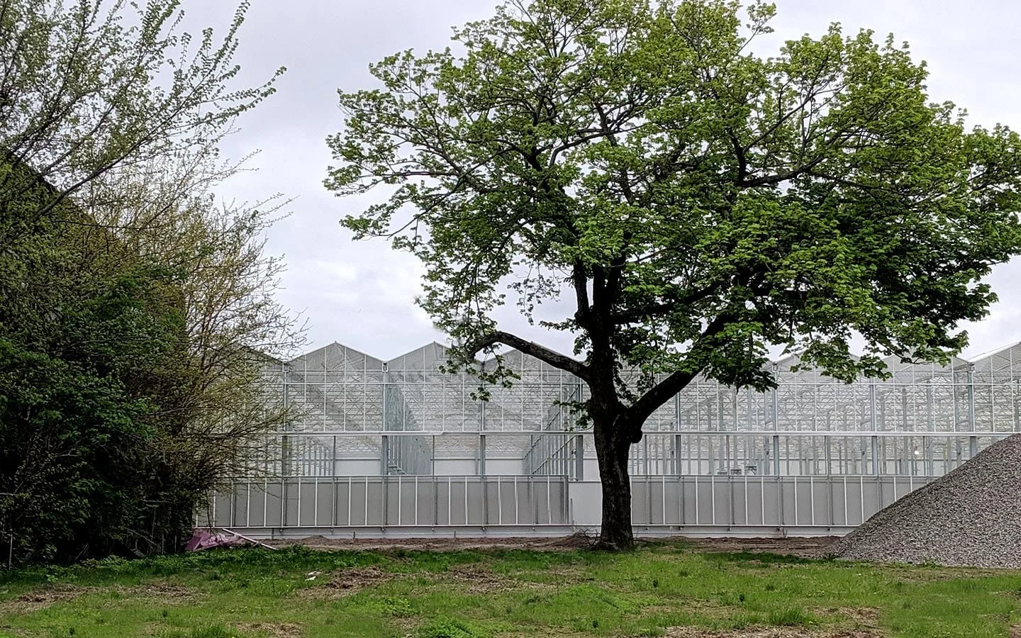 gotham-greens-jh-2019-05-02.jpg