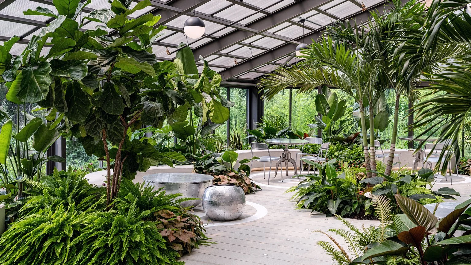 Aviation Garden_7.jpg