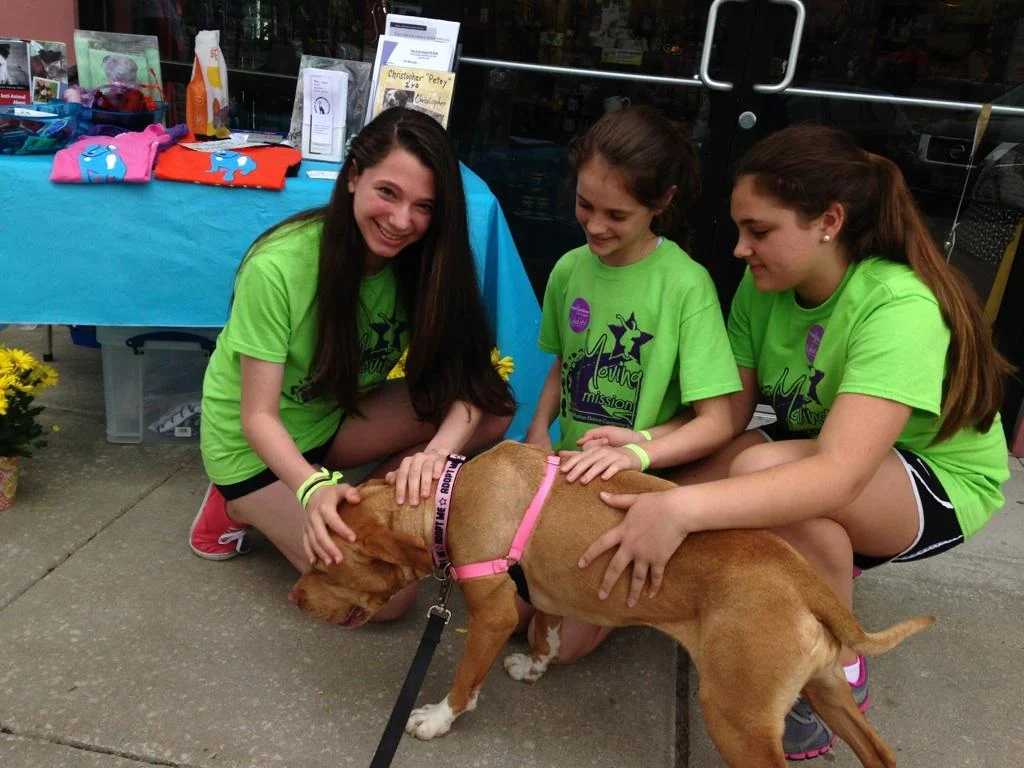 PetValu-05-09-15-951483.jpg