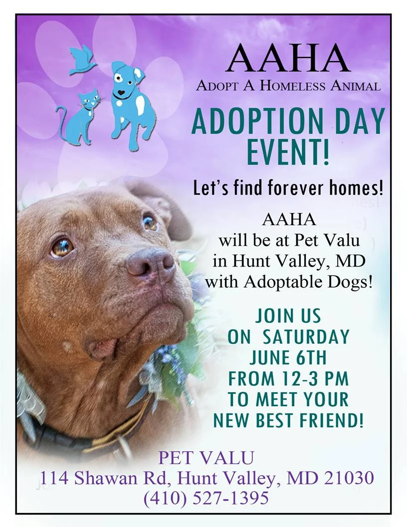 Pet-Valu-flyer-6-6-15
