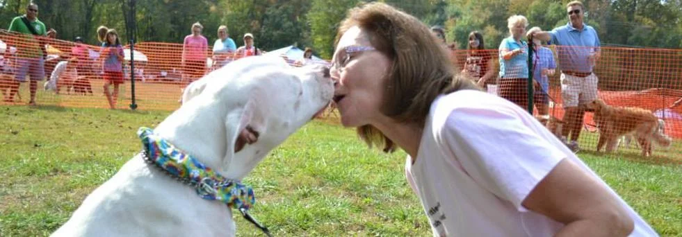 Join us at DogFest 2015!