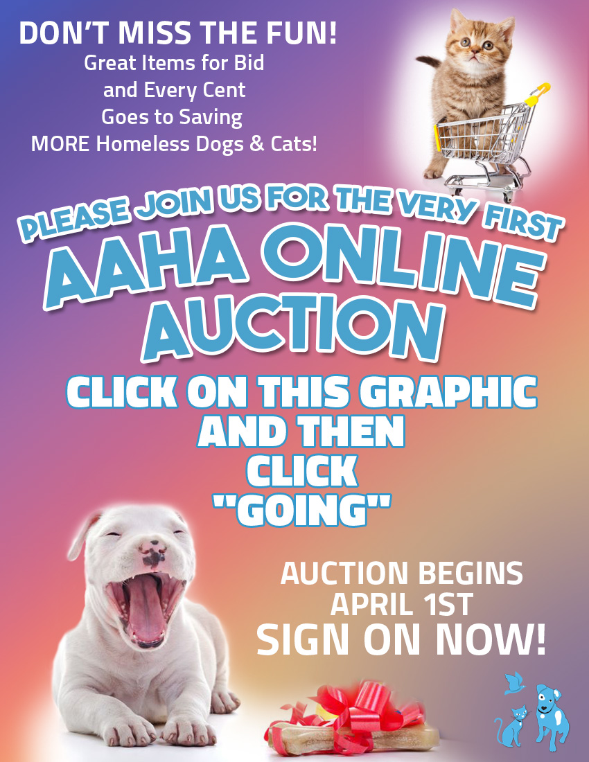 Sign up on our Auction Event Page (via Facebook).