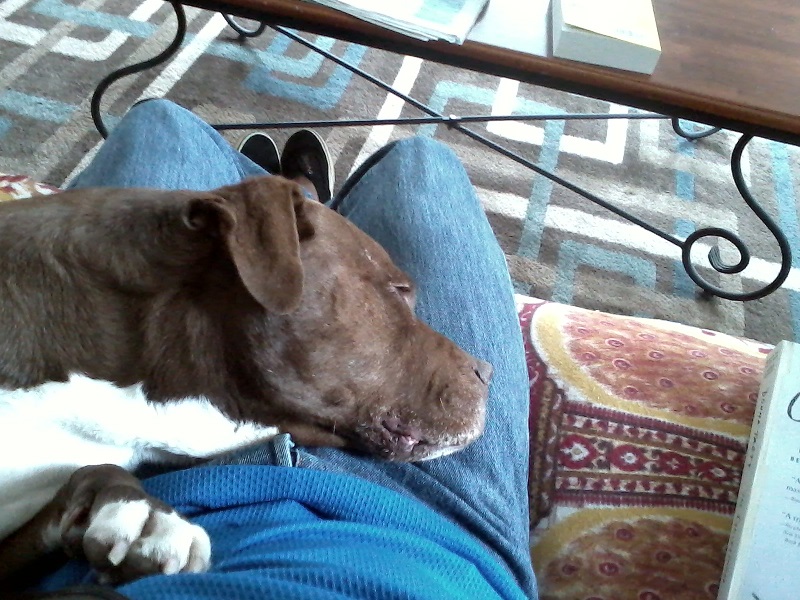 mocha-new-home2.jpeg