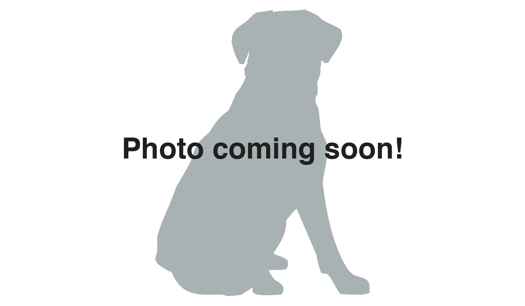 photo-coming-soon-GALLERY.jpg