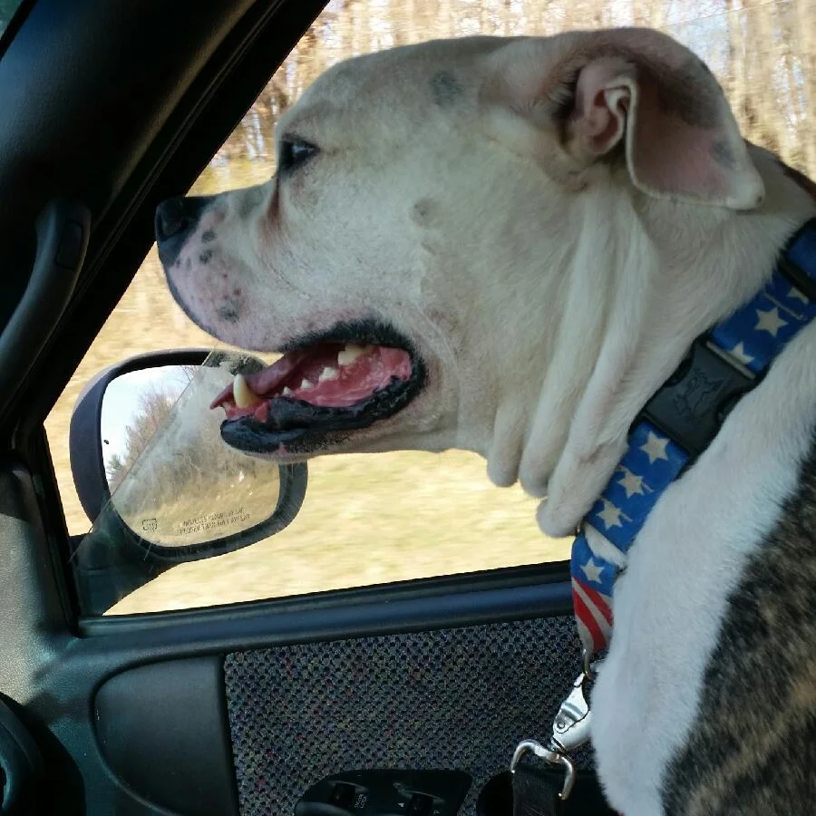 image1.jpeg