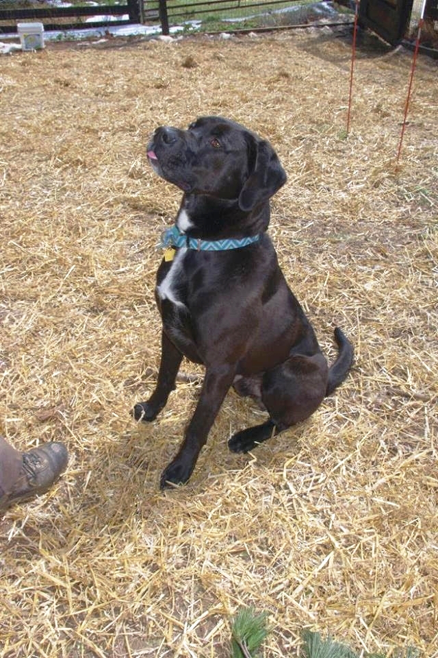 Reuben-2.jpeg