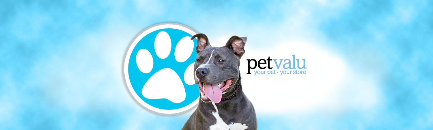 Pet Valu Adoption Event