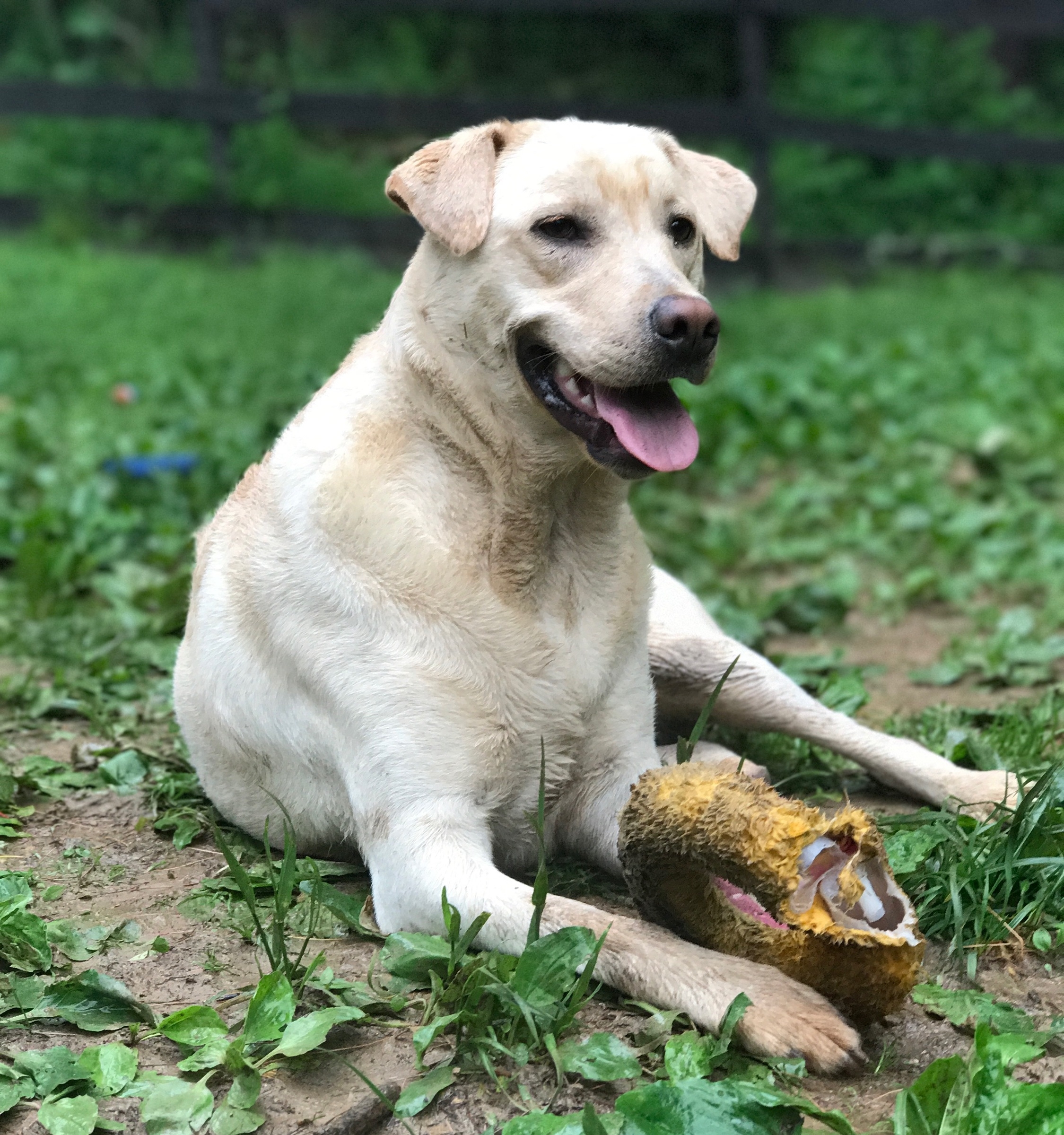 Izzy-5.jpg