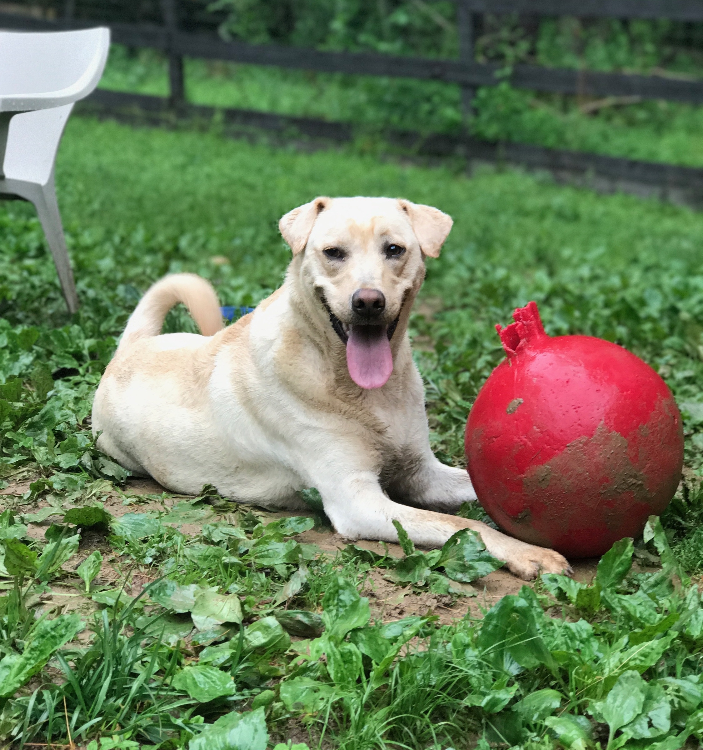 Izzy-6.jpg