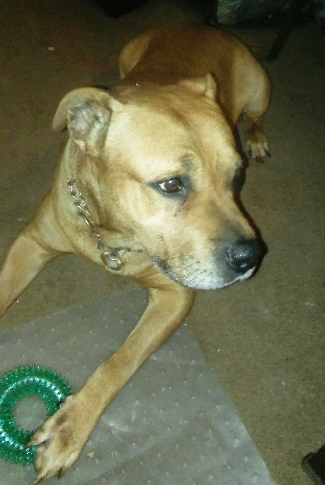 spike-courtesy-01.jpg