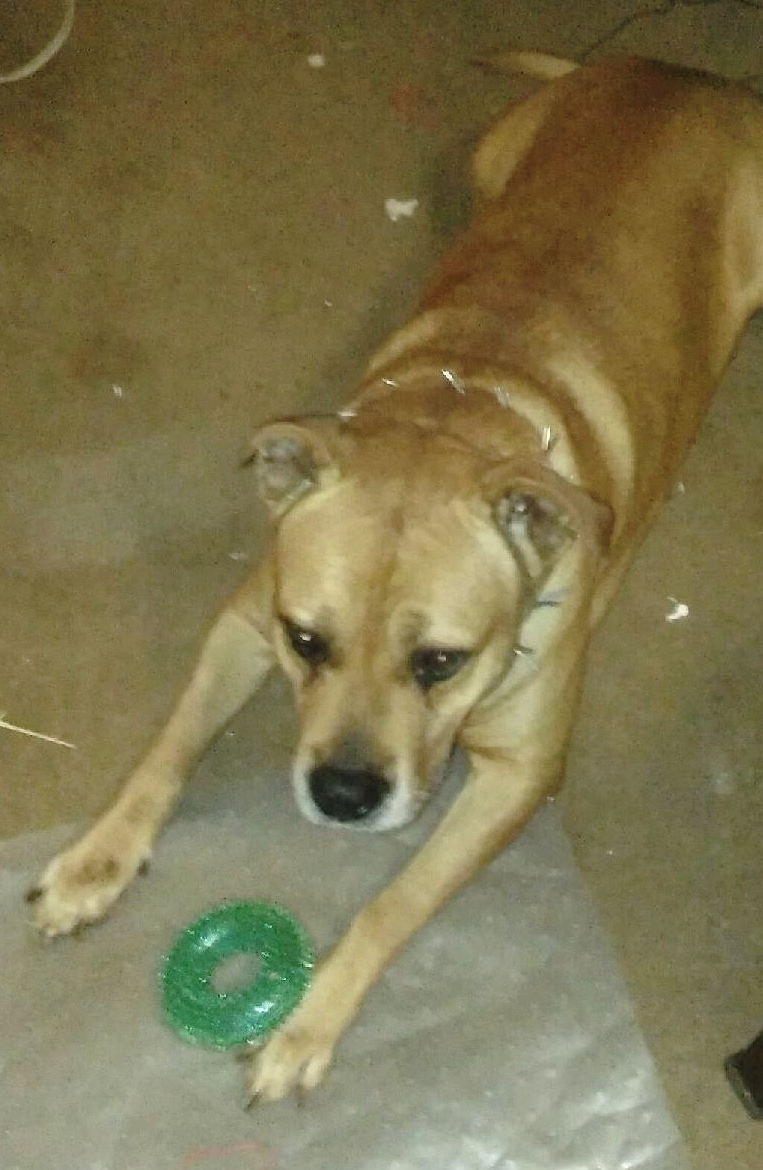 spike-courtesy-02.jpg