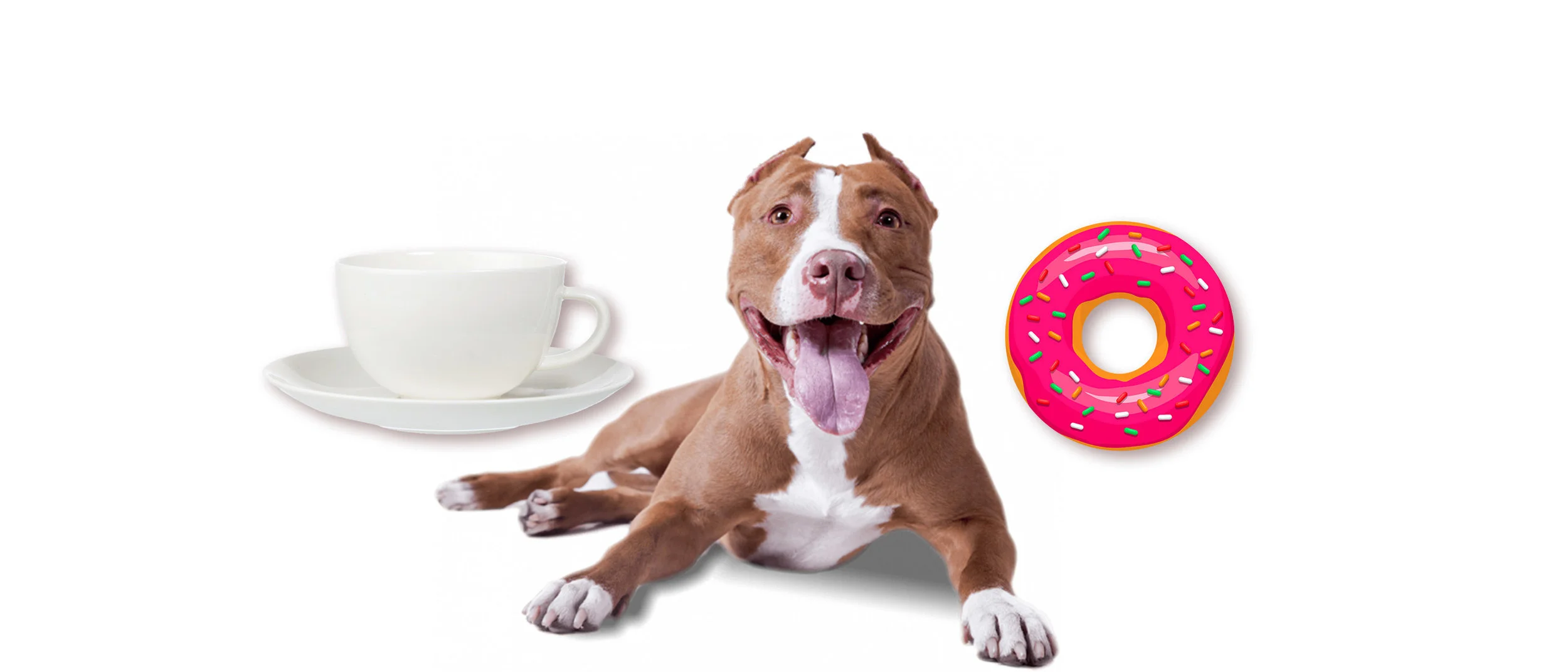 Donuts &amp; Coffee at Mutt Mart