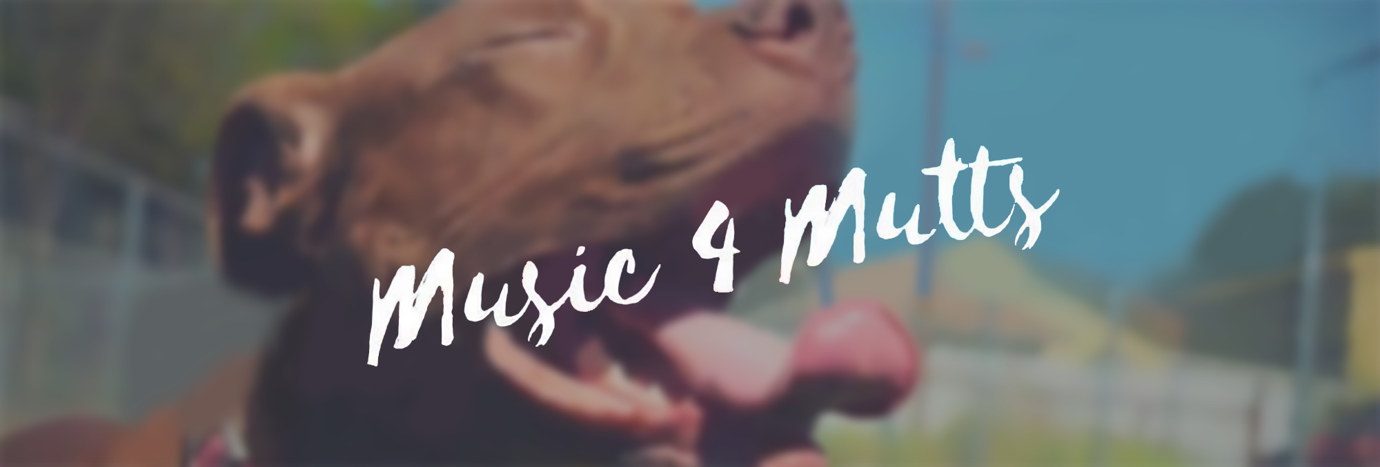 Music for Mutts 2019!