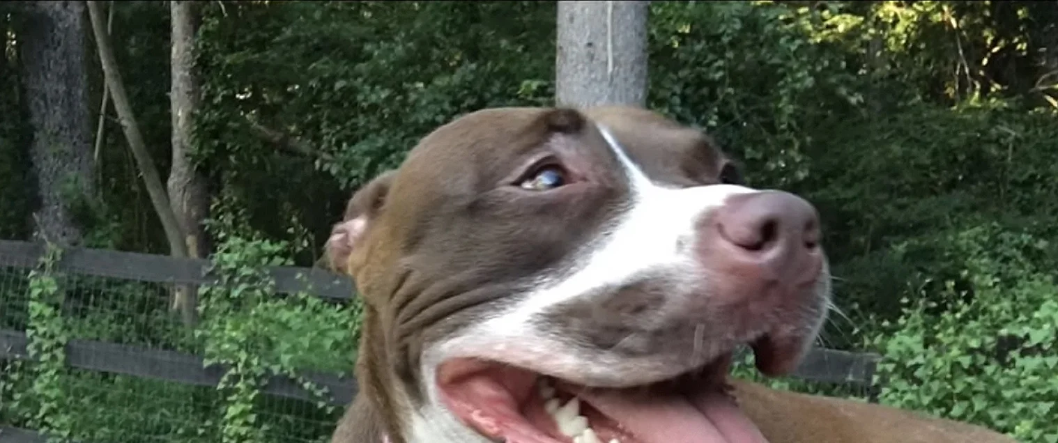 Coco-07.jpg