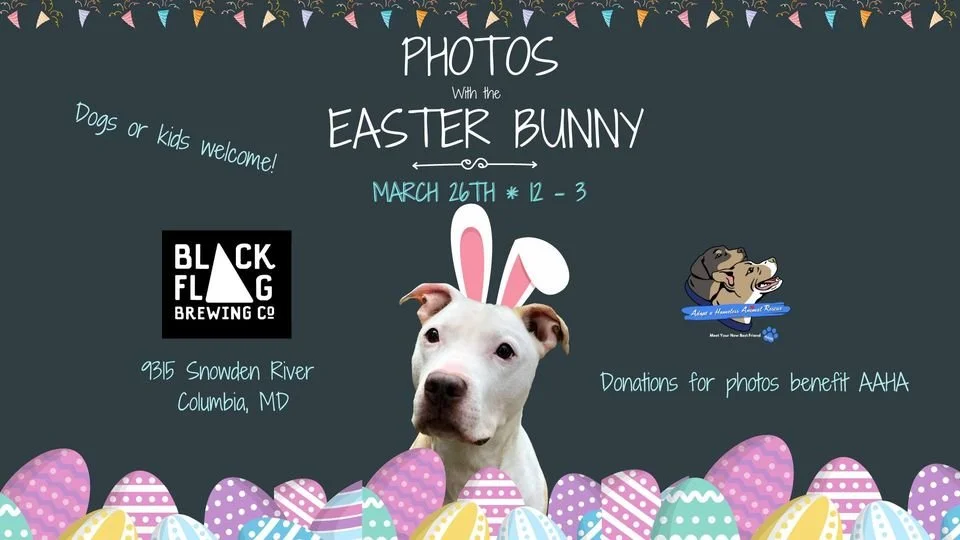 Photos with the Easter Bunny