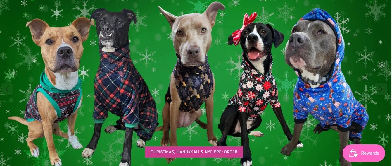 FurFashion Fundraiser