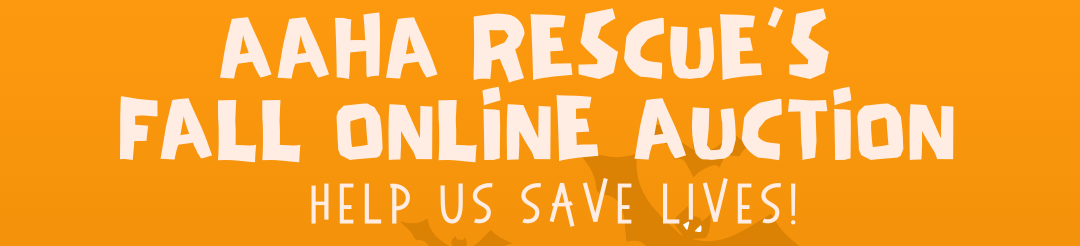 AAHA’s Fall 2024 Online Auction 