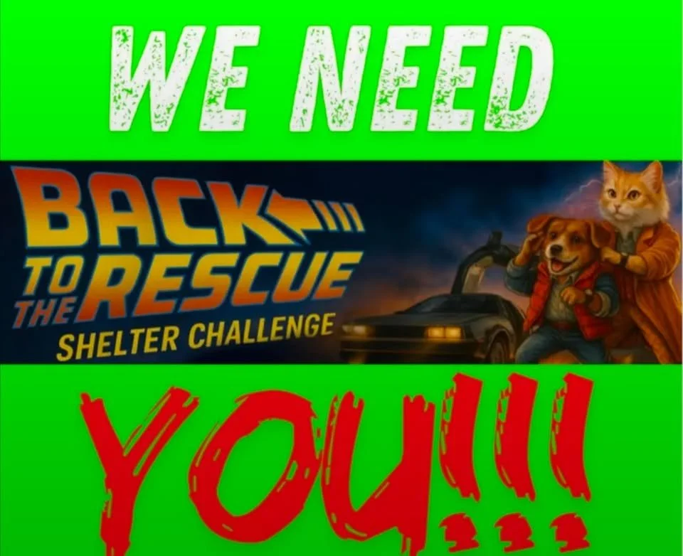 Back to the Shelter Rescue Challenge