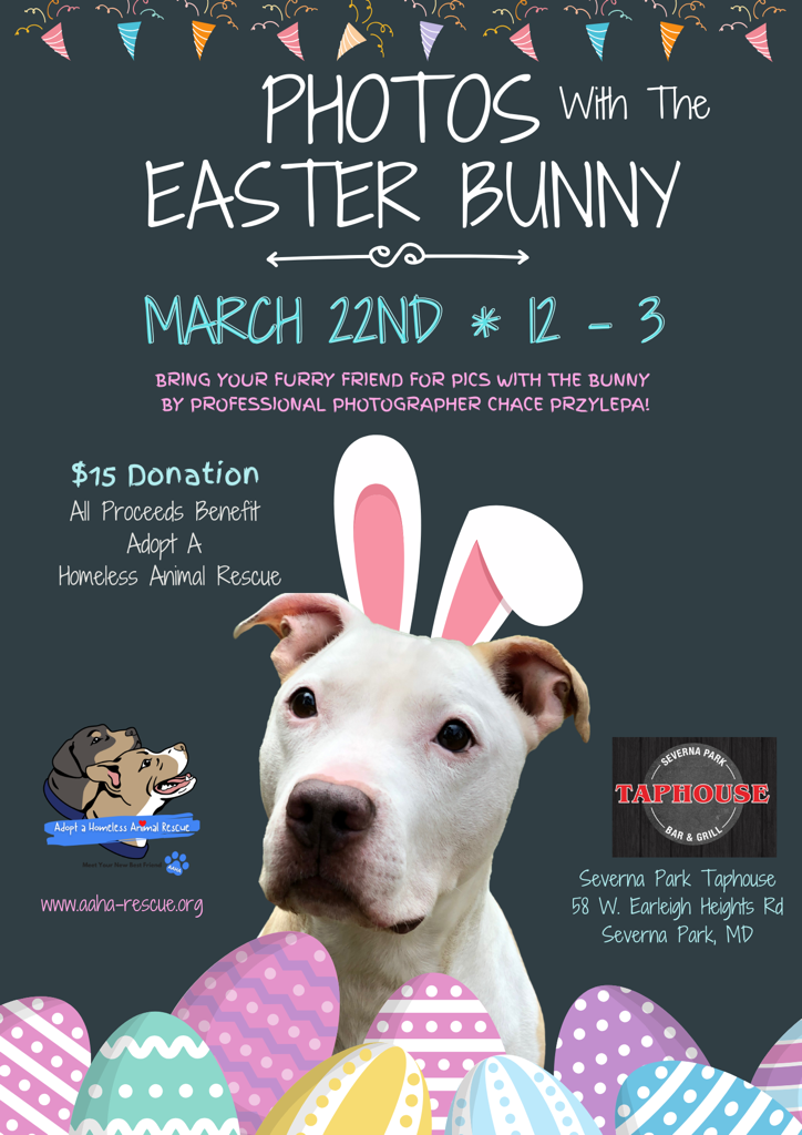 Photos with the Easter Bunny