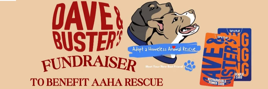 Dave and Buster's Power Card Fundraiser