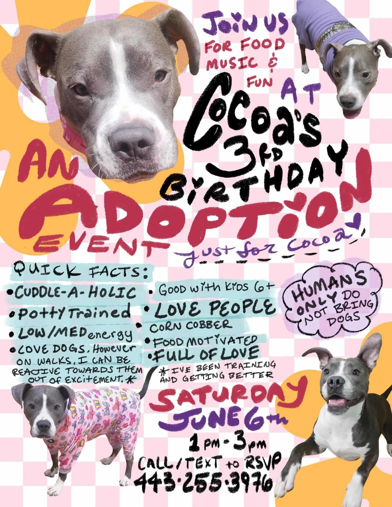 Cocoa's Third Birthday and Adoption Event