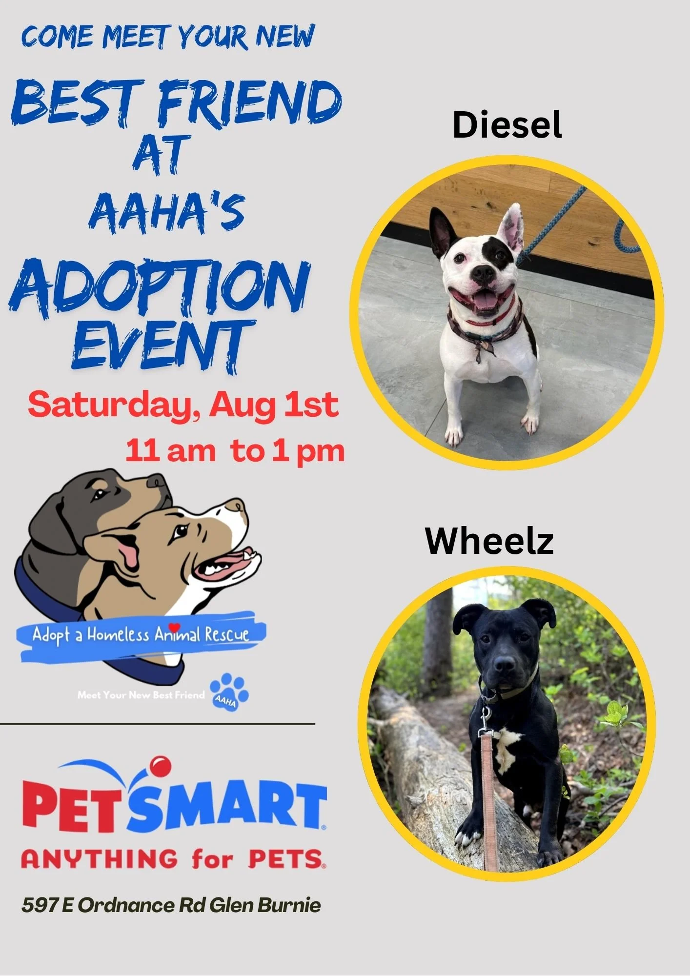 Meet Your New Best Friend Adoption Event