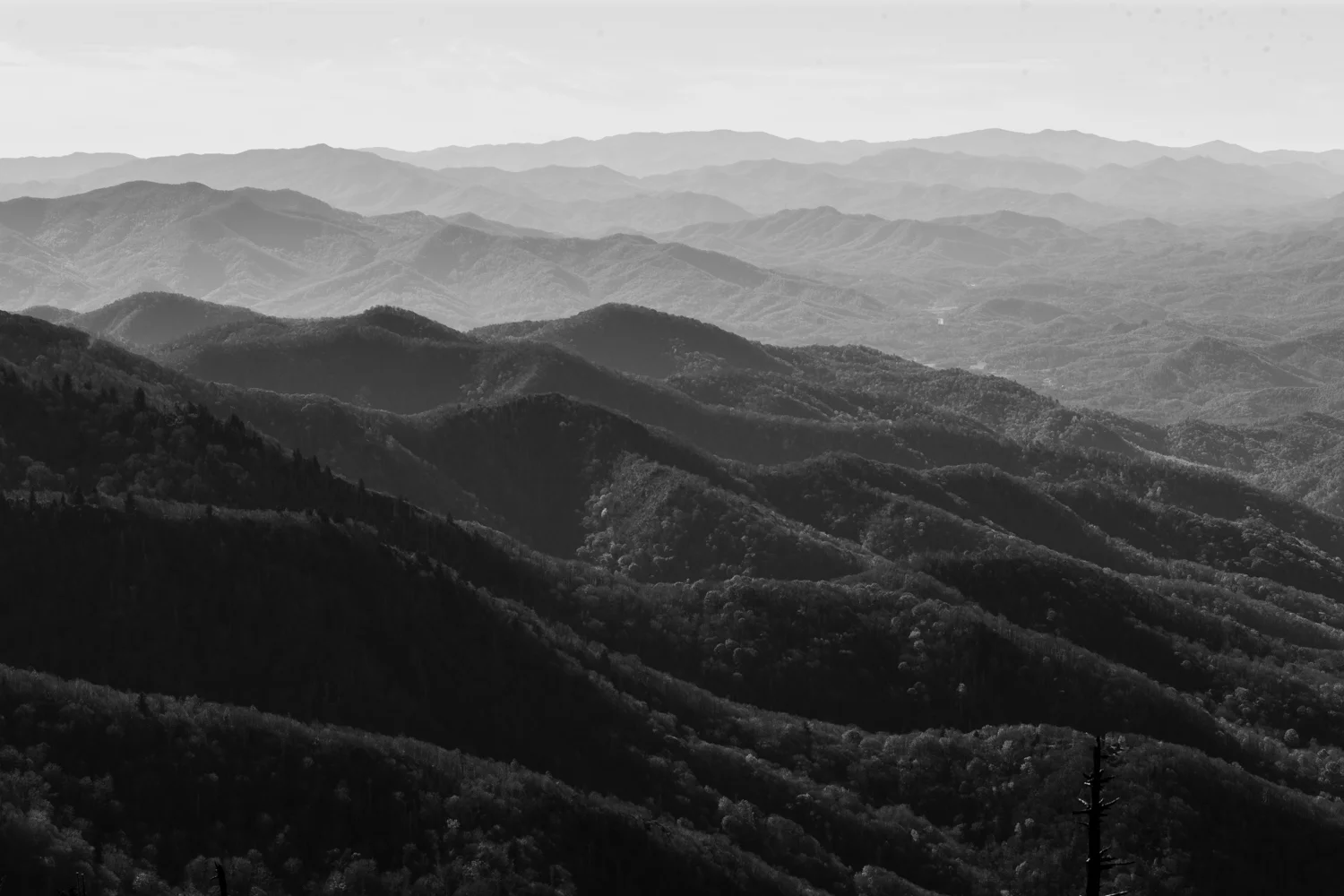 _T7K0587.jpg