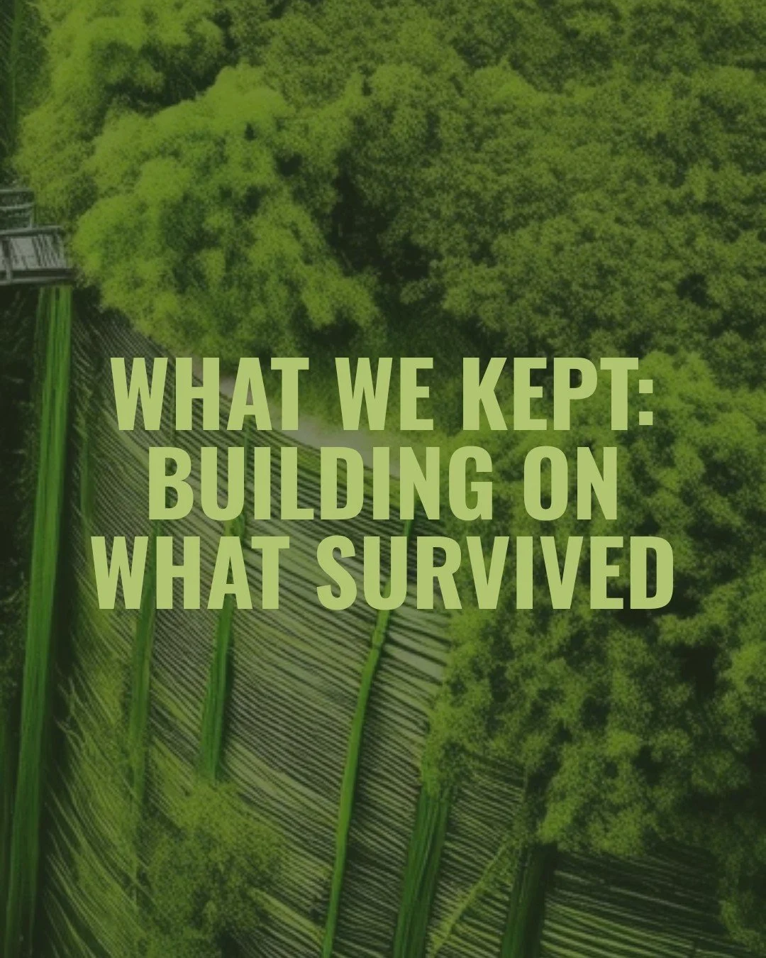 Six articles. One question. A complicated answer.

This week I finished my series on LA County's new Department of Homeless Services and Housing. Could community voice actually shape how the system operates? Partially. Not enough. But more than nothi