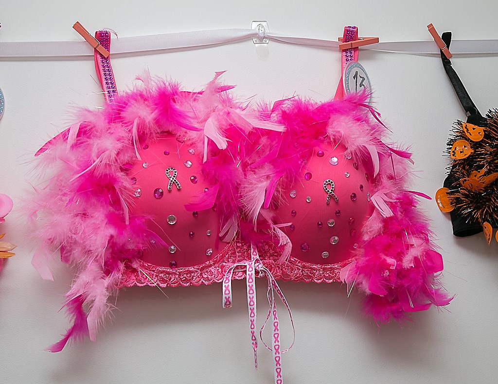 BraDay2017_-072.jpg
