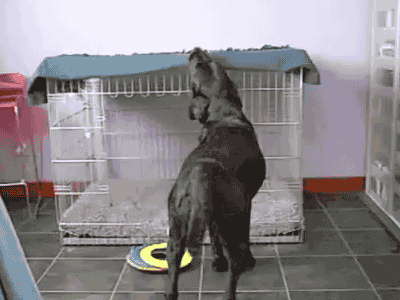 image via youtube.com