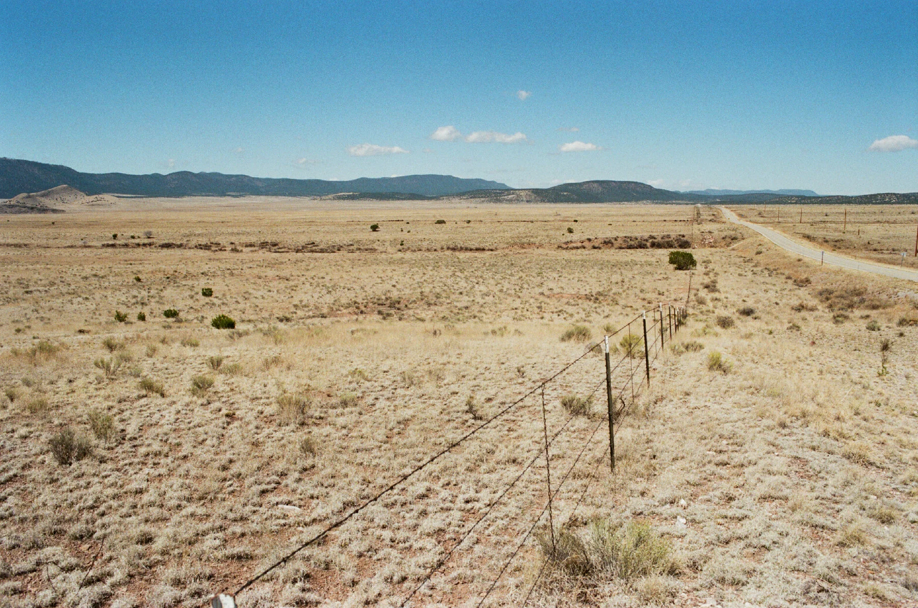 New Mexico