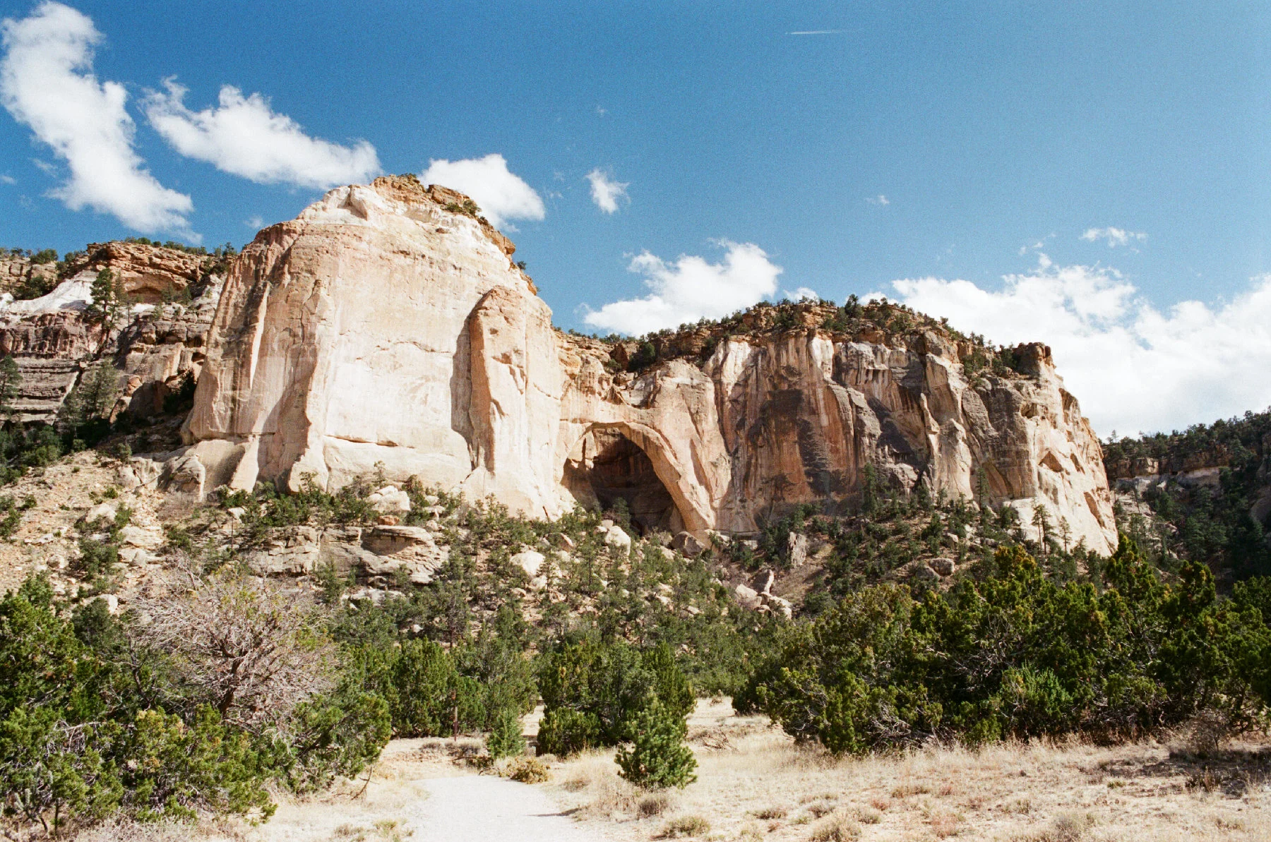 New Mexico