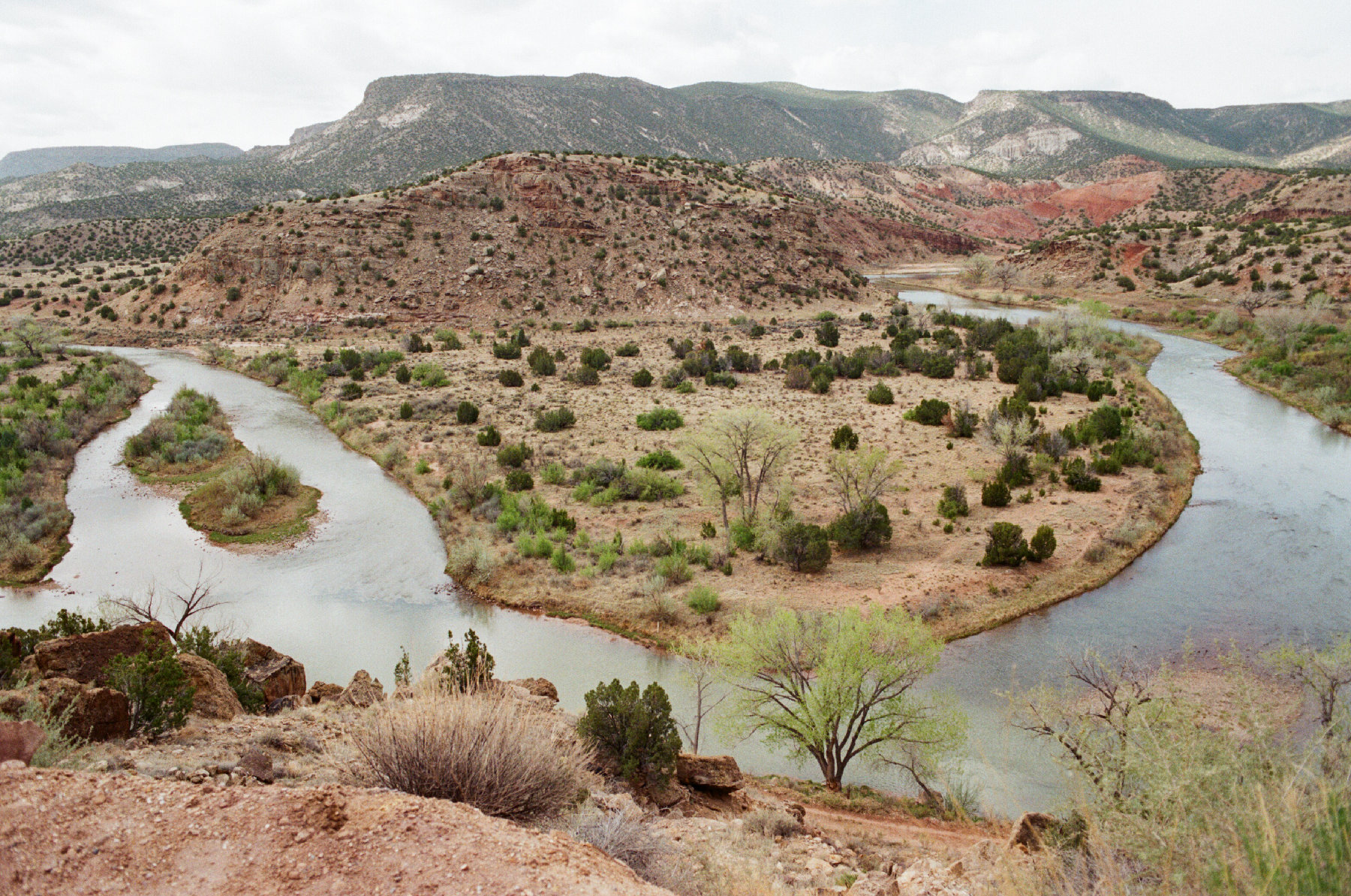 New Mexico