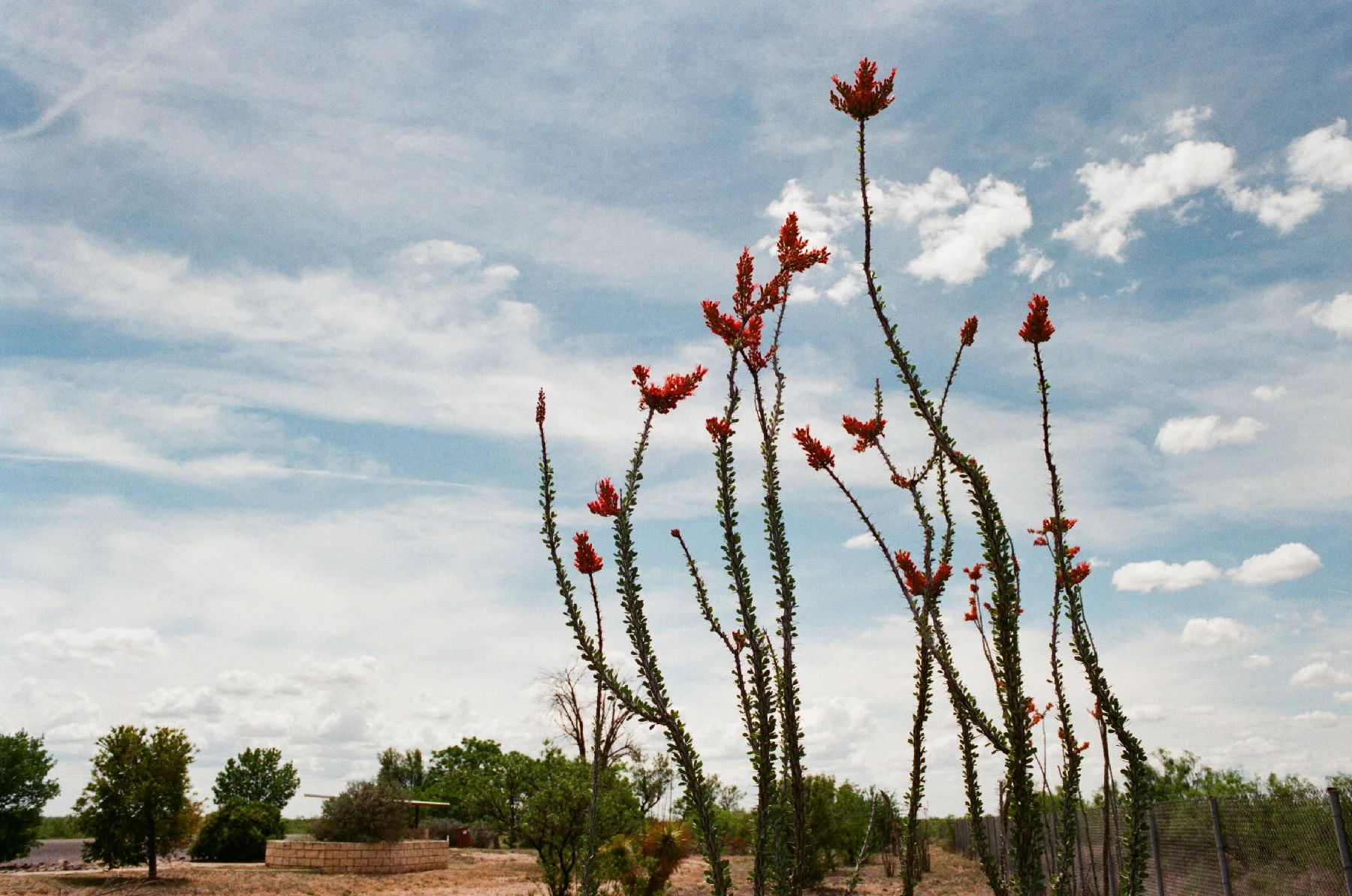 West Texas