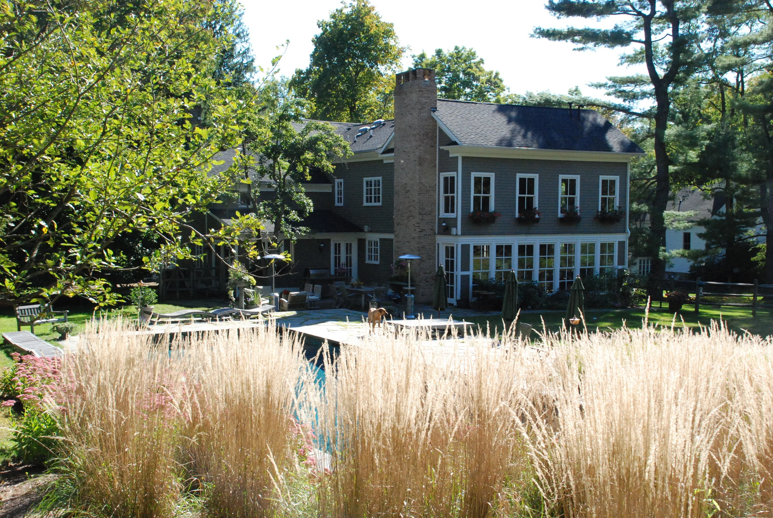 back house from top of pool.JPG