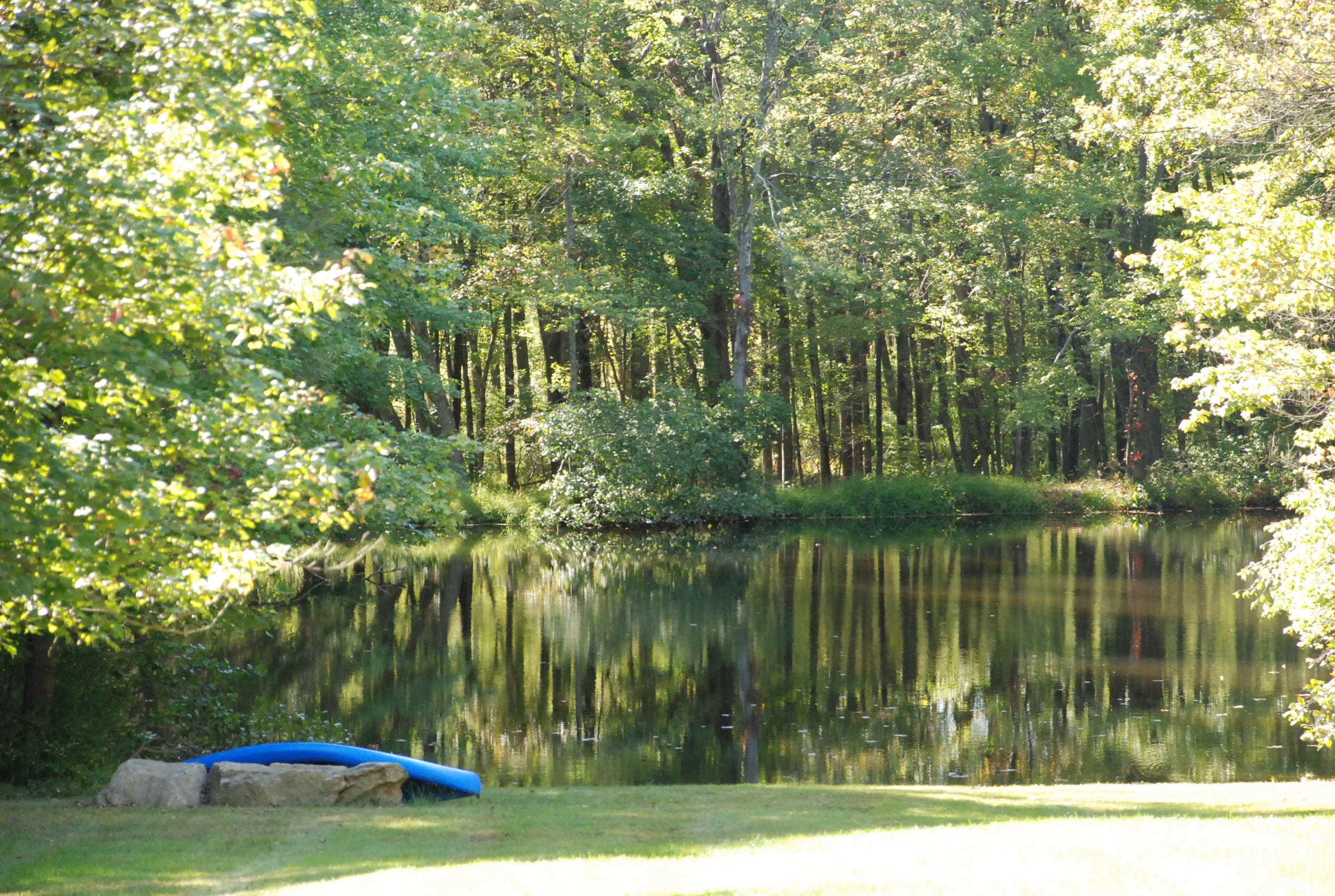 *DSC_0277.JPG