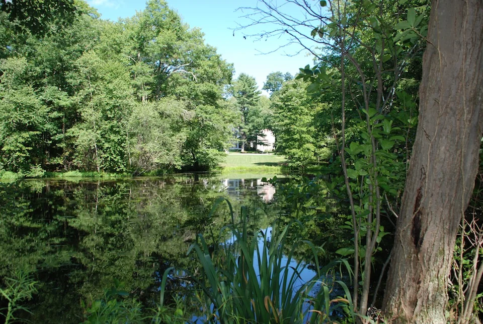 *Lower Pond.JPG