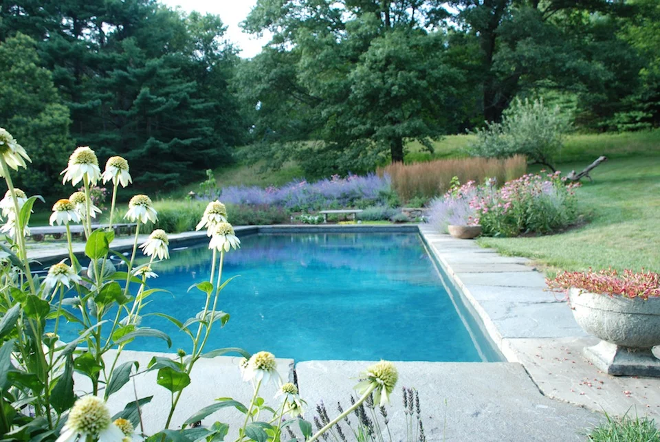3 Pool 3.JPG
